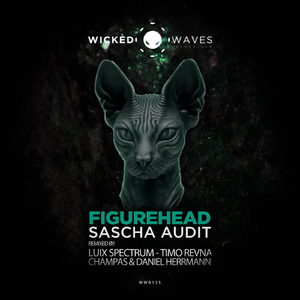 Figurehead (Timo Revna Remix)