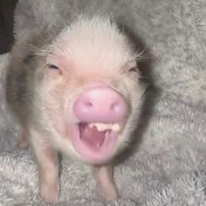 奥特之父出轨贝利亚被奥特之母躲在衣柜仙人跳