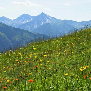 长亭外（钢琴）