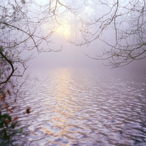 Mistlight