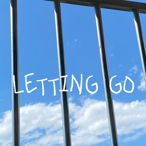 letting go (cover:陈之.）