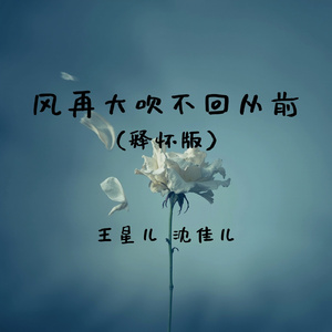 风再大吹不回从前(释怀版)