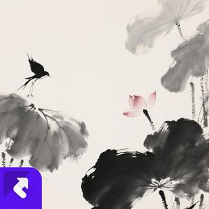 旅行的故事 (现场)