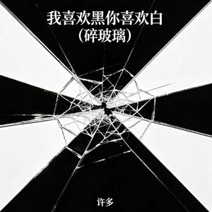 我喜欢黑你喜欢白（碎玻璃）