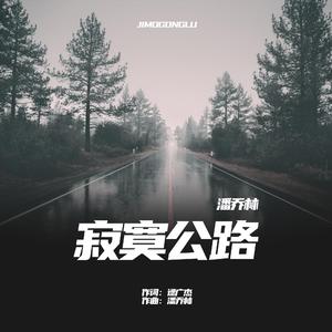 寂寞公路-潘乔林