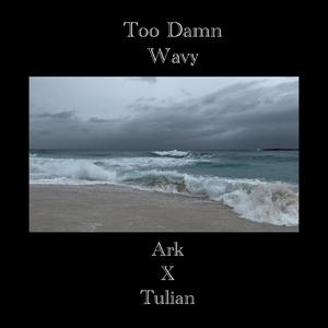 Too Wavy (feat. Patman)