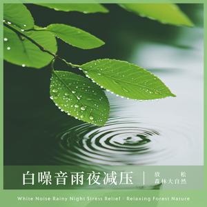 自然流水声 (Nature Flowing Sounds)