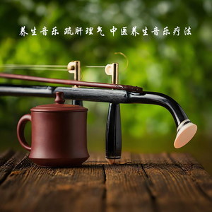 梧桐夜雨 (二胡曲大全纯音乐)