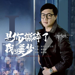 是你撕碎了我的美梦