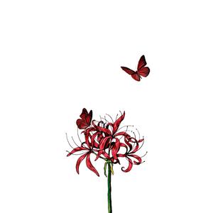 Blind (feat. The Lie Within Callie)