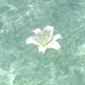 互不相干，心事相关