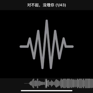 对不起，没理你
