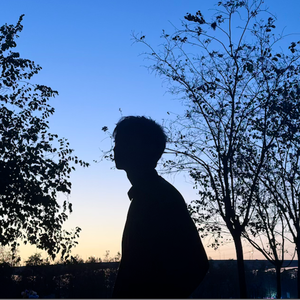 我没有你说的那种喜欢