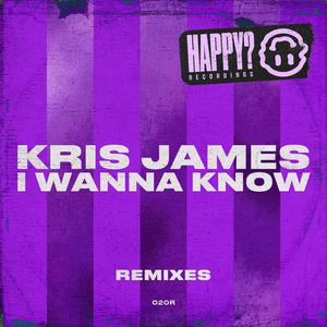 I Wanna Know (Beyond Chicago Remix)