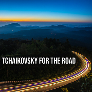 Piano Trio in A Minor, Op. 50:IIa. Tema con Variazioni: a. Theme. Andante con moto