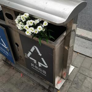 我不是你的宋冬野