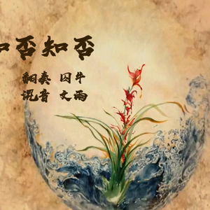 【囚牛】《知否知否》笛子版「知否知否，应是绿肥红瘦」（翻自 胡夏）