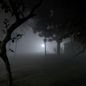 nuisance! (p. yuney lae)