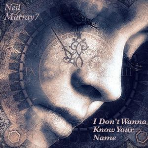 I Don't Wanna Know Your Name