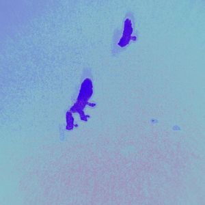 Storm：SZA&Travis Scott (Instrumental)