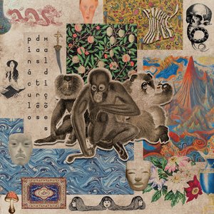 I Segredos ocultos, mistérios sepultos