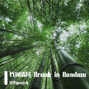 竹涧清风 Brook in Bamboo