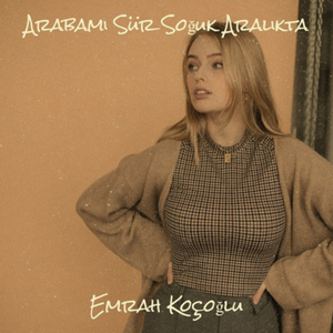 Arabamı Sür Soğuk Aralıkta (Remix)