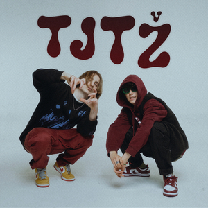 TJTZ