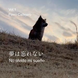 夢は忘れない（No olvido mi sueño）