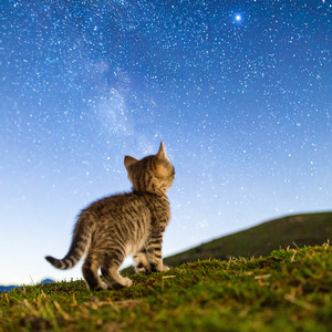 光を追いかけて