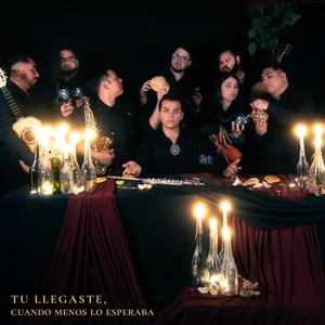 Tu llegaste, cuando menos lo esperaba