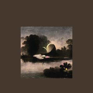 Fly High Towards the Sky Ek