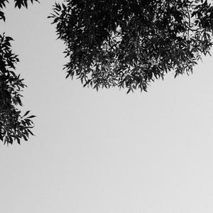 我还是喜欢从前的你