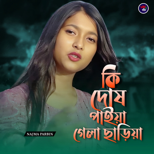 Ki Dosh Paiya Gela Sariya
