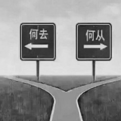 社会我华强哥 (Remix)