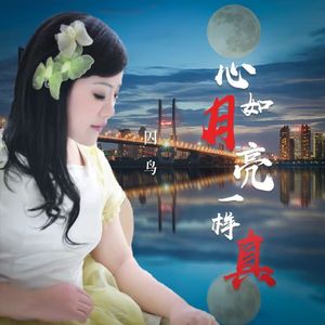 心如月亮一样真 (DJ版)