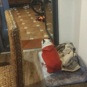 起风了