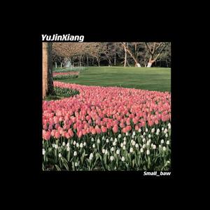 郁金香（长寿花Small_Baw remix）