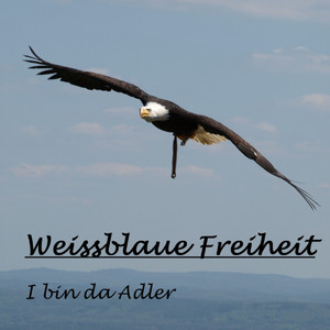 I bin da Adler