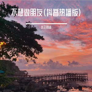 不想做朋友（抖音热播版）