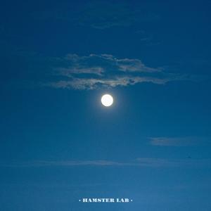 近心悸 The Tremor of Proximity