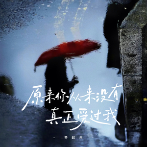 原来你从来没有真正爱过我