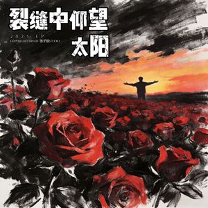 裂缝中仰望太阳