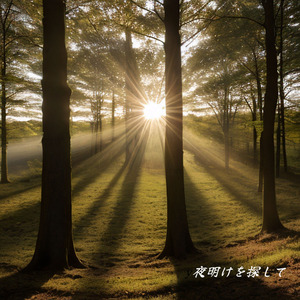 夜明けを探して