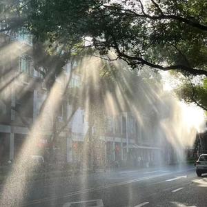 多想在平庸的生活拥抱你