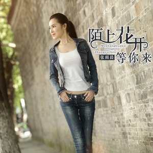 陌上花开等你来 (DJ何鹏版)