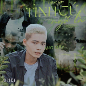 Tình Cứ Ngỡ Là