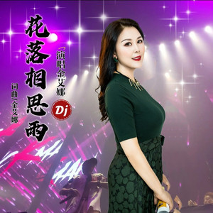 花落相思雨(DJ版)