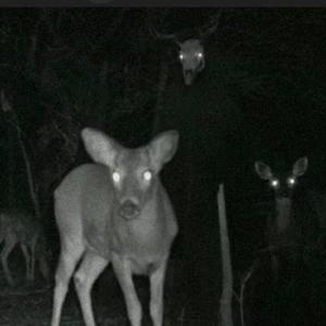 levae me alone(cover flipp dinero)