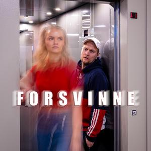 Forsvinne